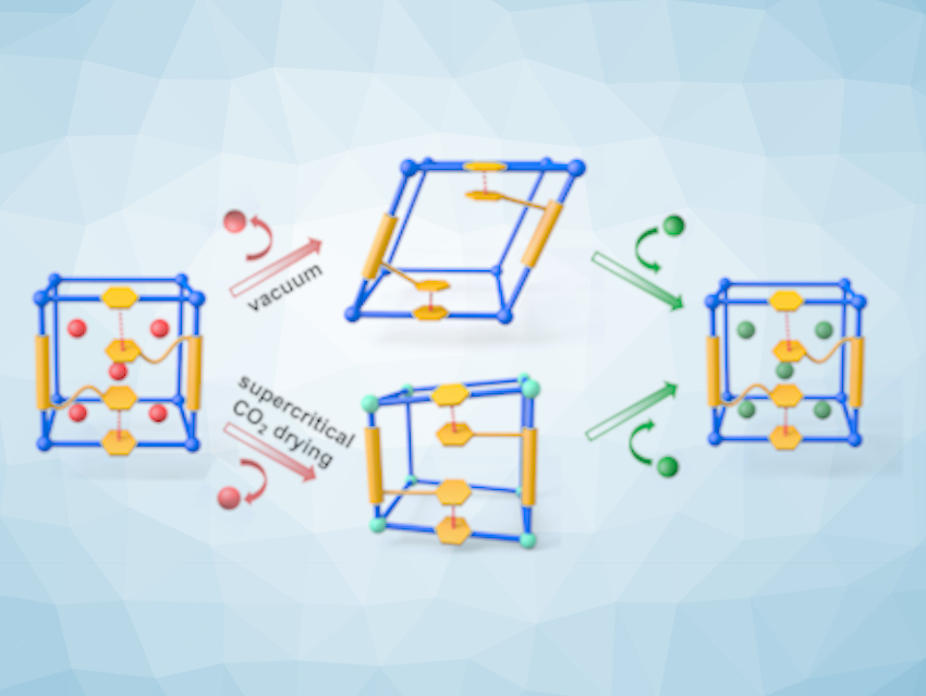 Flexible Porous Coordination Polymers