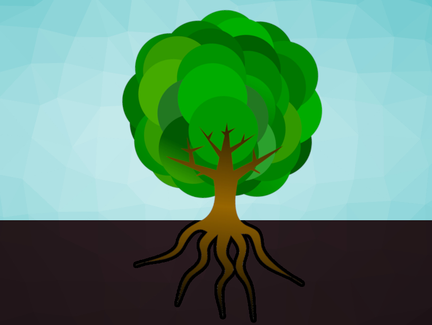 How Plant Roots Sense Compacted Soil