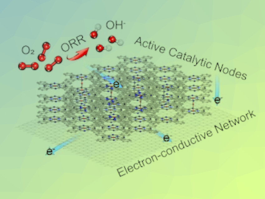 Single-Atom Electrocatalysts for the Oxygen Reduction Reaction