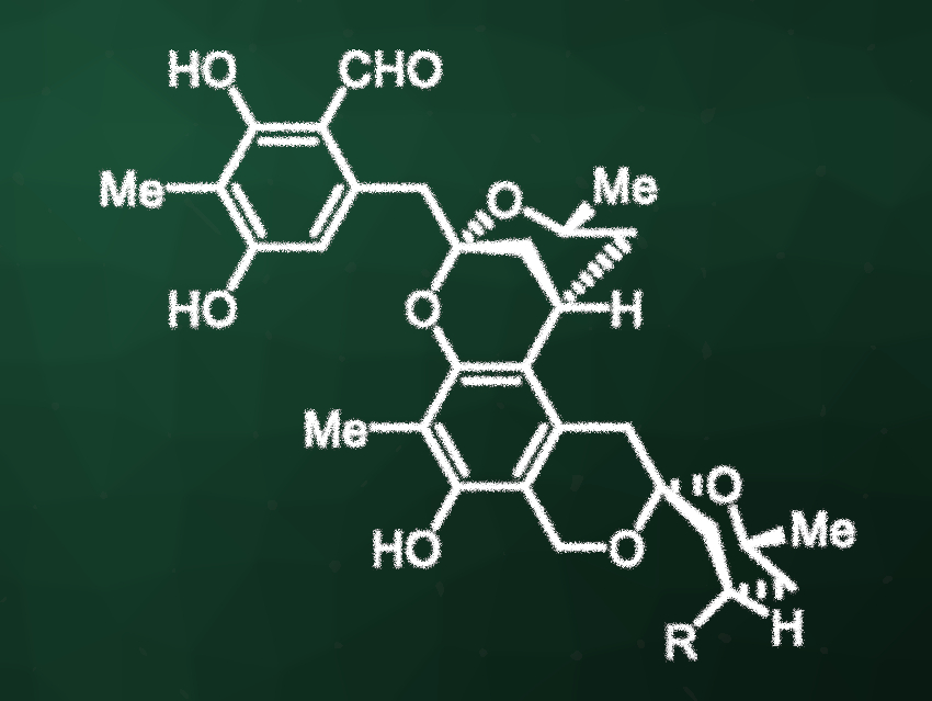 Total Syntheses of (+)-Peniciketals A and B