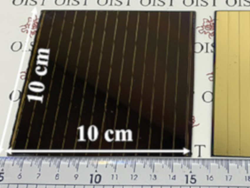 Large Perovskite Solar Modules