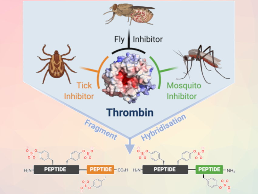 Biobased Anti-Thrombosis Agent