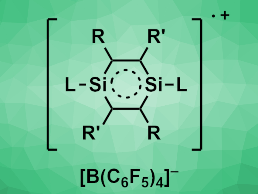 A 1,4-Disilabenzene in Stable Radical Cation Form