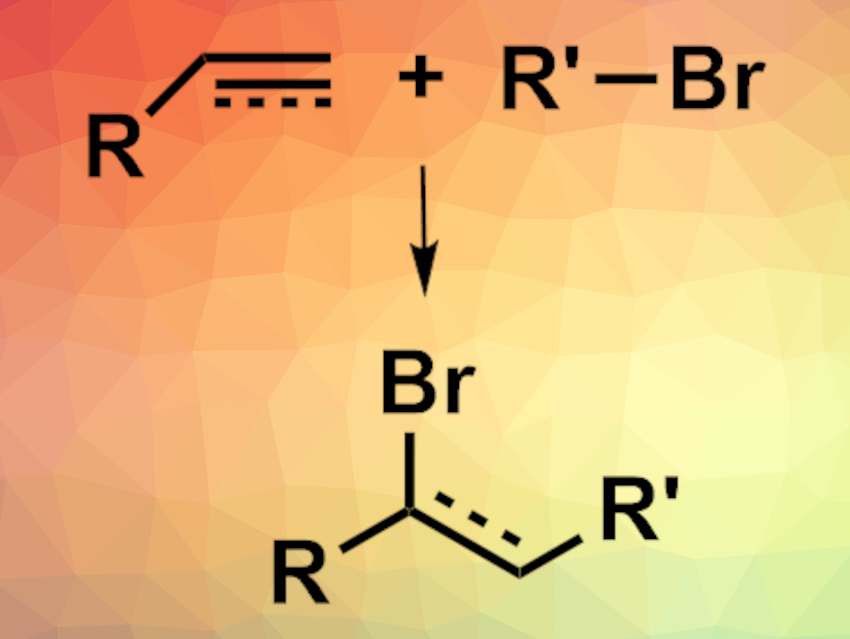 What Is the Active Species in Reactions using Bi2O3 as a Photocatalyst?