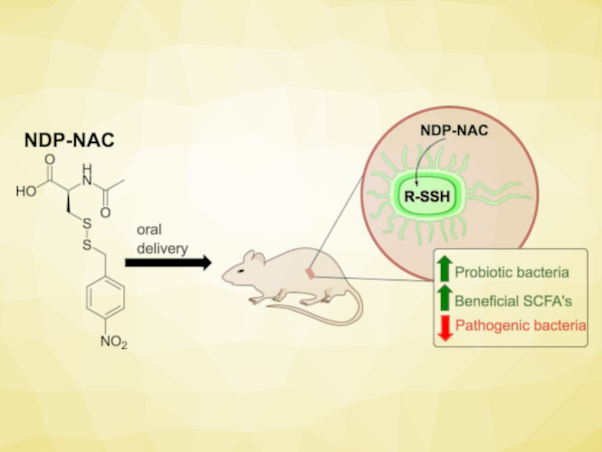 Reactive Sulfur Species for a Healthy Gut