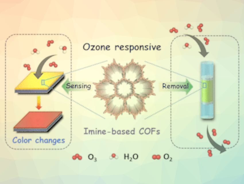 Sensor and Detoxifier in One