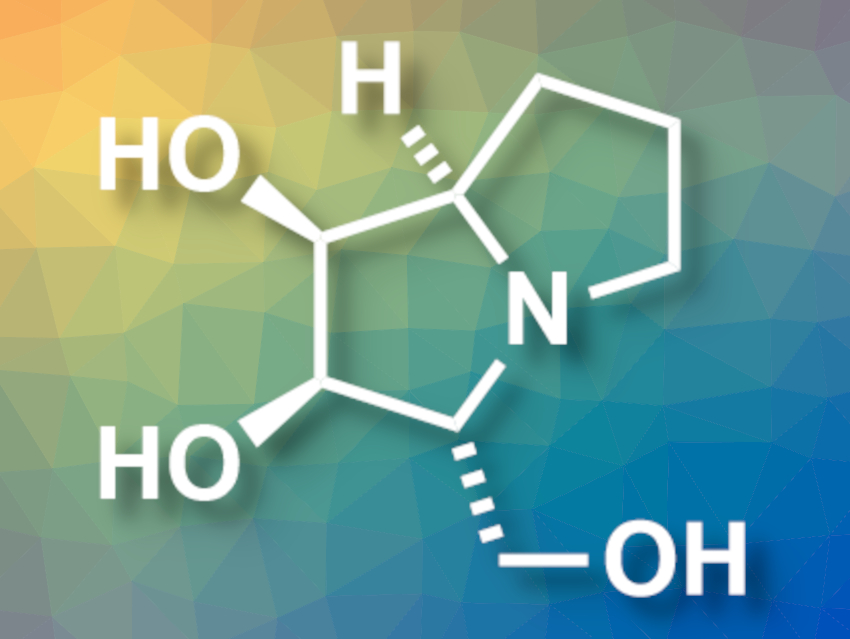 Short Total Synthesis of (+)-Hyacinthacine A1