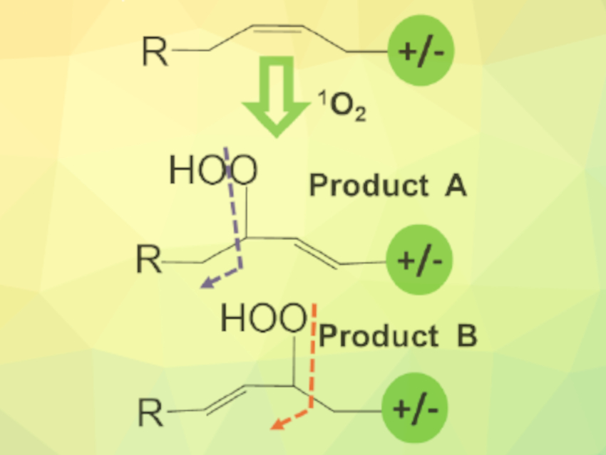 Identification of Isomeric Unsaturated Lipids