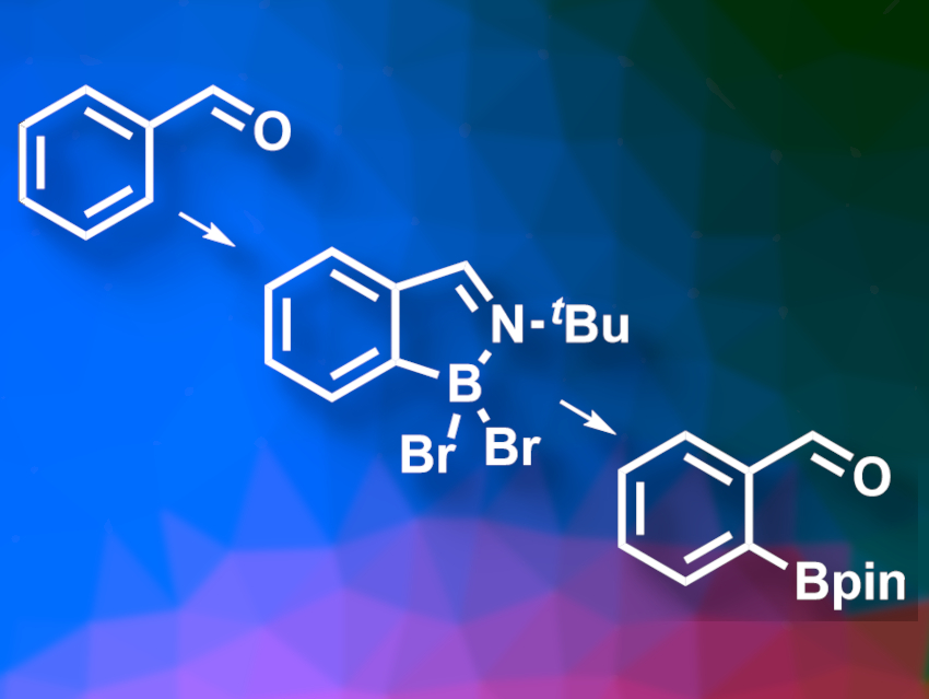 Metal-Free Borylation of Benzaldehydes