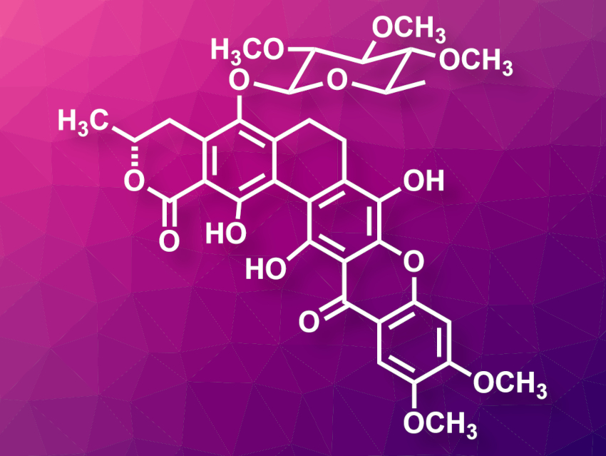 First Asymmetric Total Synthesis of Calixanthomycin A