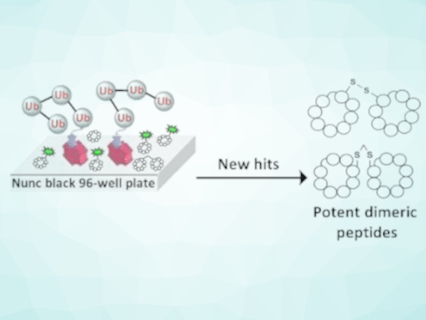 Screening for Macrocyclic Peptides
