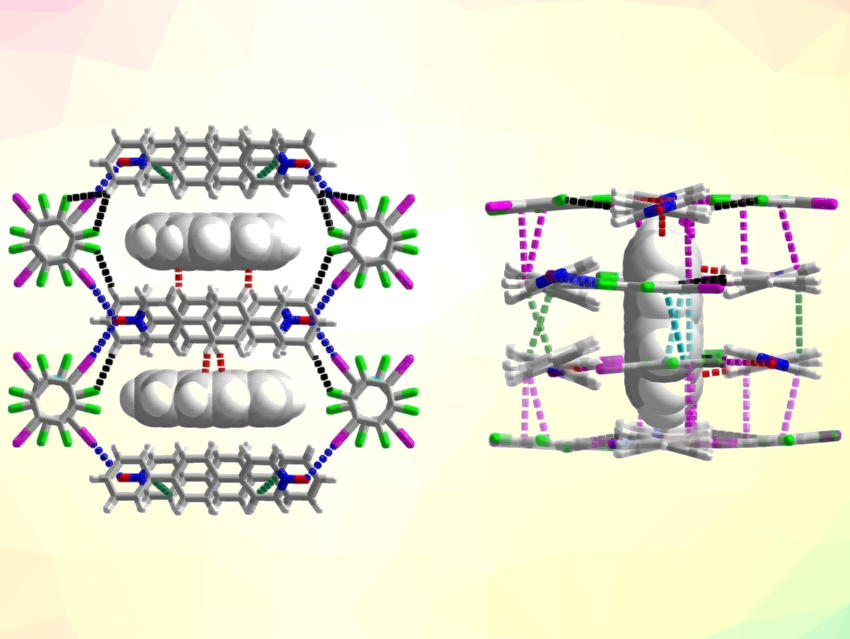 Ternary Cocrystals with Large Soft Cavities