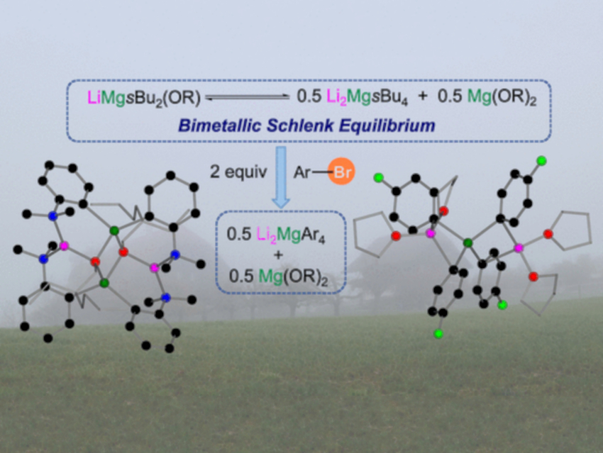 Bimetallic Intermediates in Equilibrium