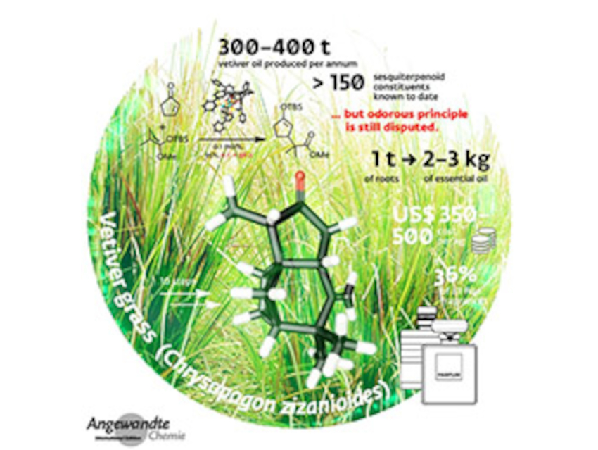 Angewandte Chemie 11/2021: The Chemist's Perspective