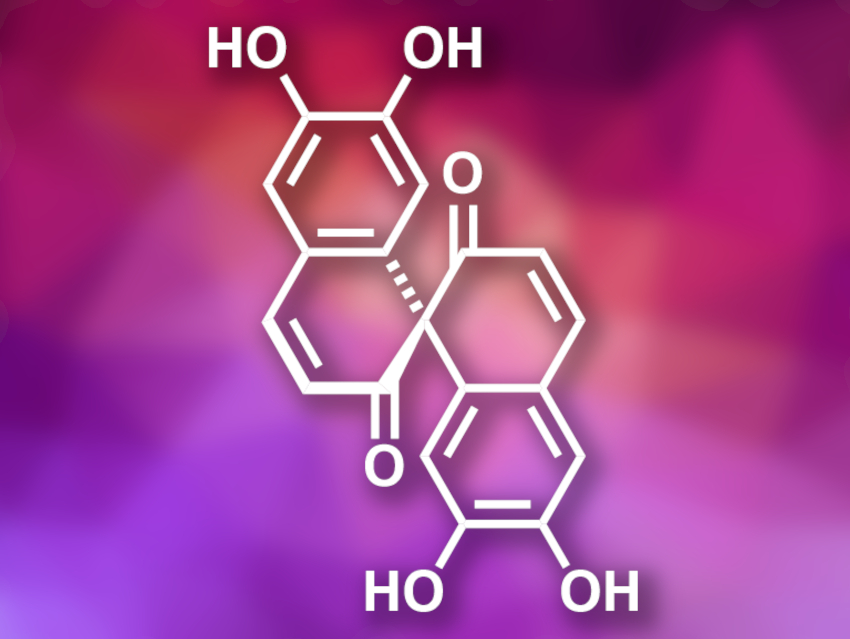 Total Synthesis of Spiroaxillarone A