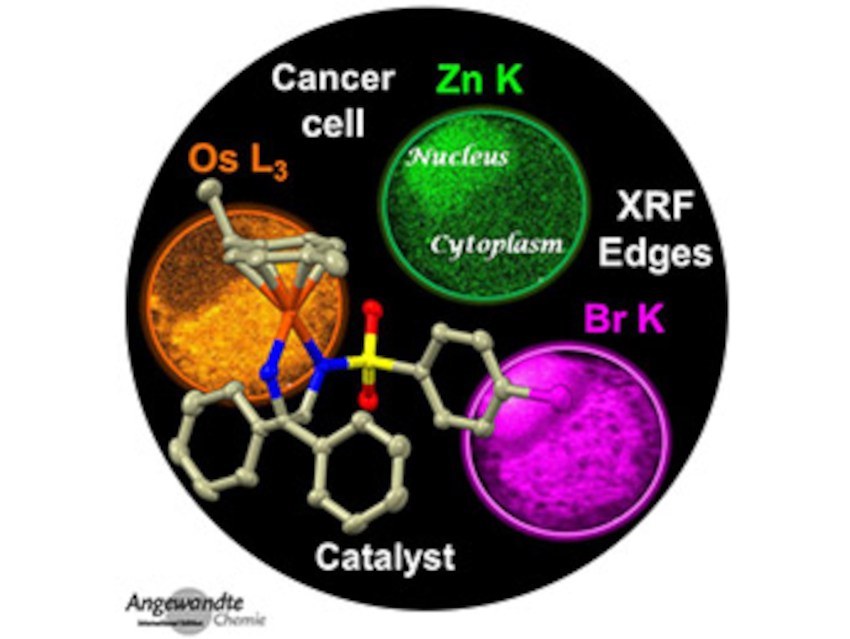 Angewandte Chemie 12/2021: Evolution