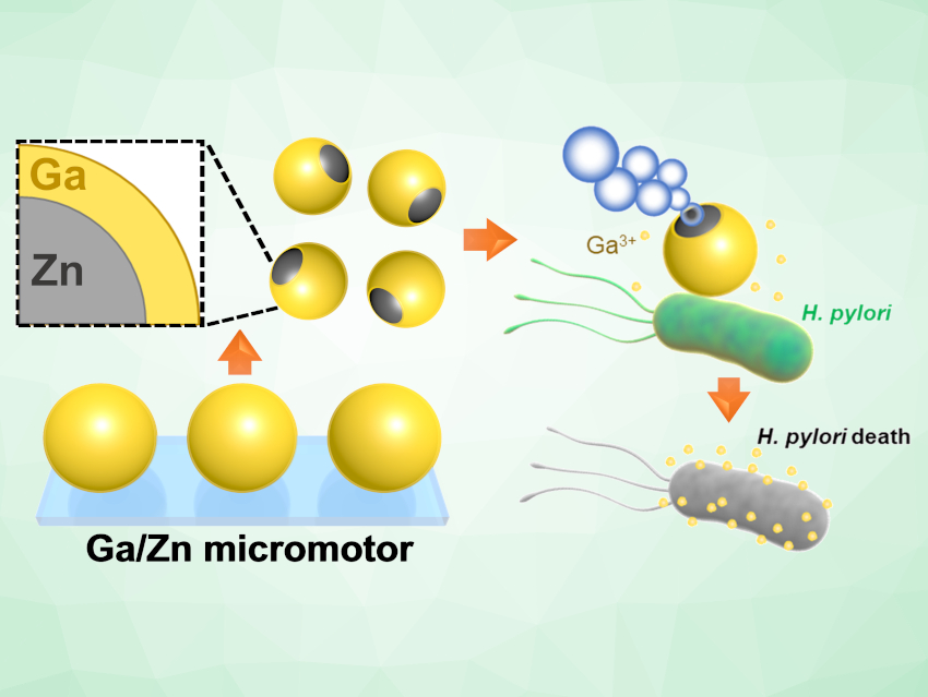 Micromotors for Antibacterial Treatment