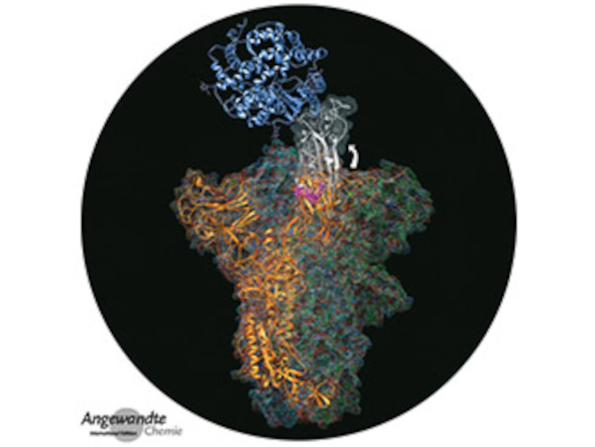 Angewandte Chemie 13/2021: Phase Transitions