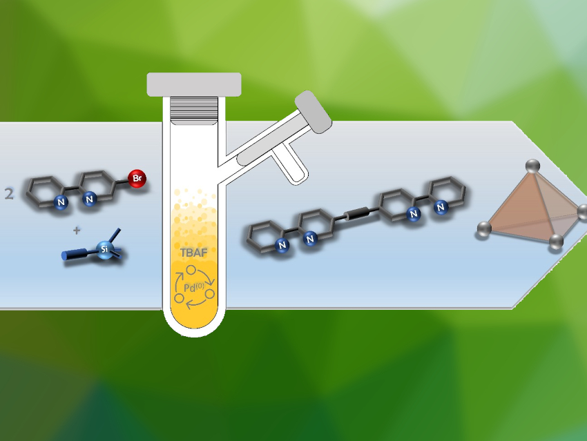 Symmetric Diarylalkyne Ligands for Metal‐Organic Cages