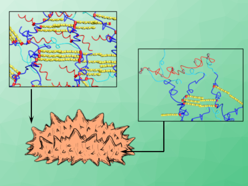 Materials Mimic Stiffness Changes of Marine Animals