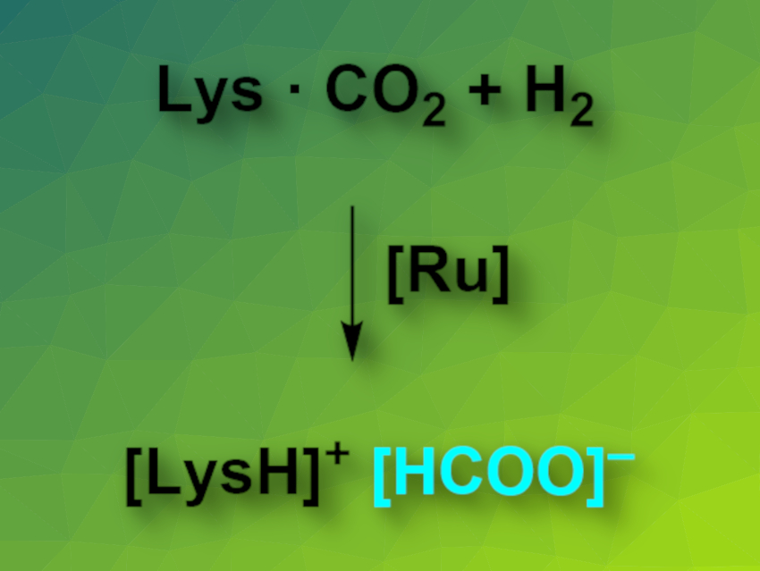 Amino-Acid-Based System Captures CO2 and Gives Formates