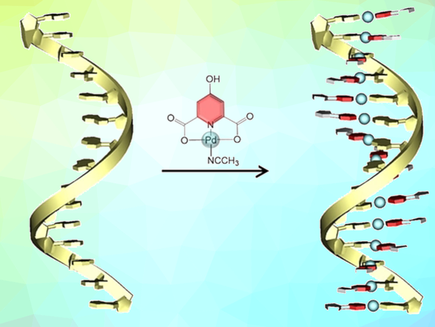 DNA–Metal Double Helix