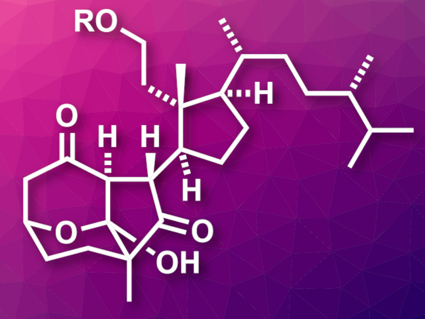 First Synthesis of Pinnigorgiols B and E from Ergosterol