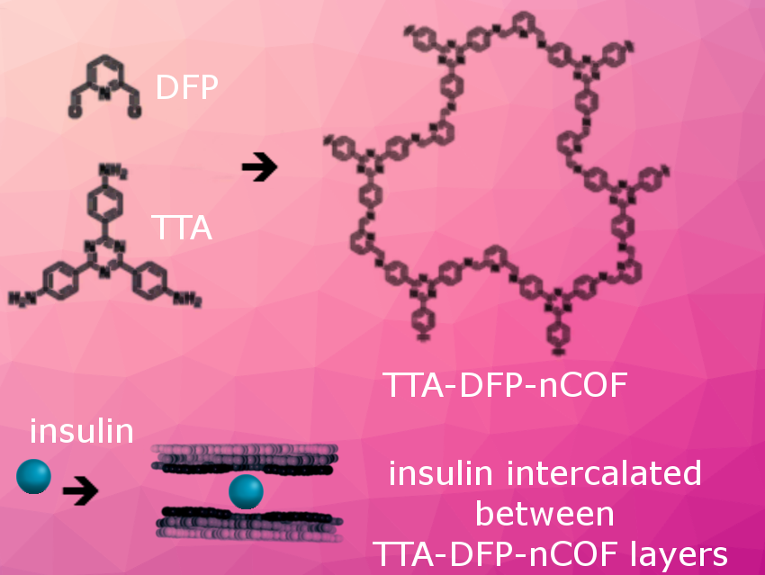 Insulin Oral Delivery System