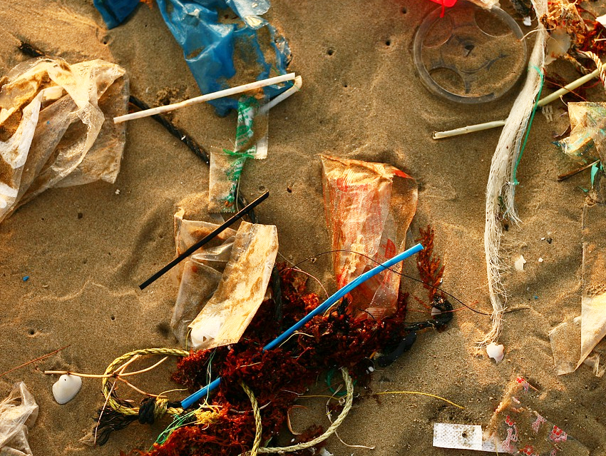 Ocean-Bound Waste Converted to PC/PET Material