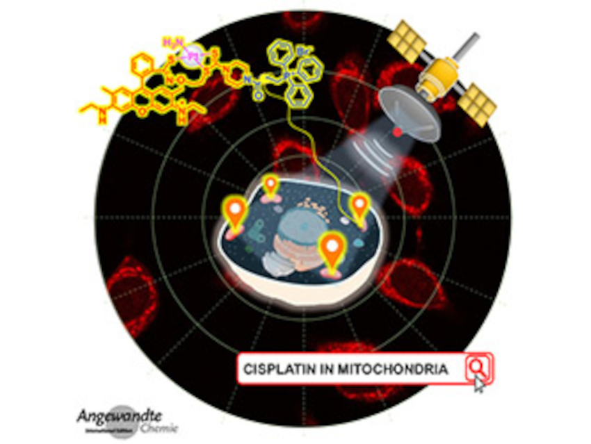 Angewandte Chemie 17/2021: A Homage