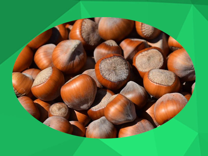 Hazelnut Components with Beneficial Health Effects