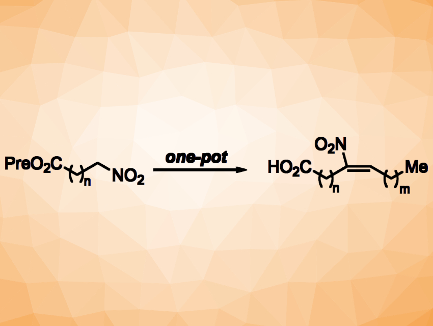 One-Pot Synthesis of Nitro Fatty Acids