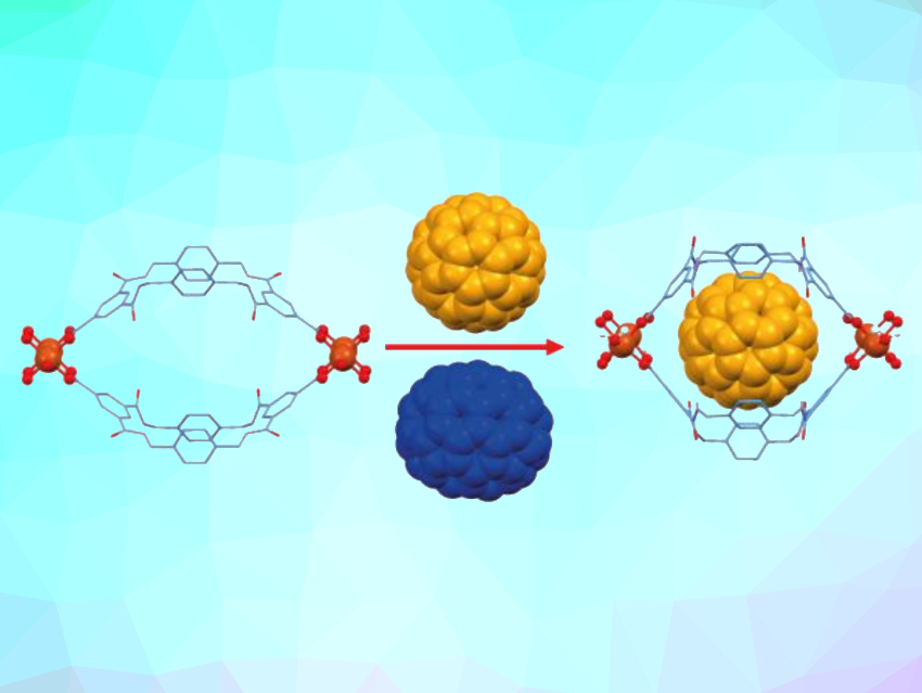 Fullerenes Encapsulated by Metal-Organic Frameworks