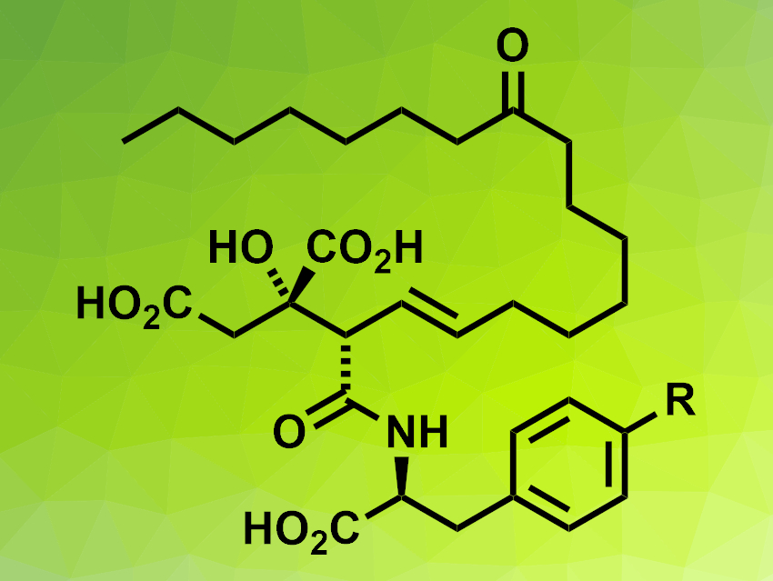 Total Synthesis of Viridiofungins A and B