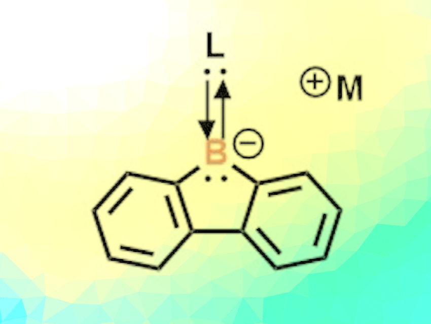 Stabilization of a Borafluorene Anion with Carbenes