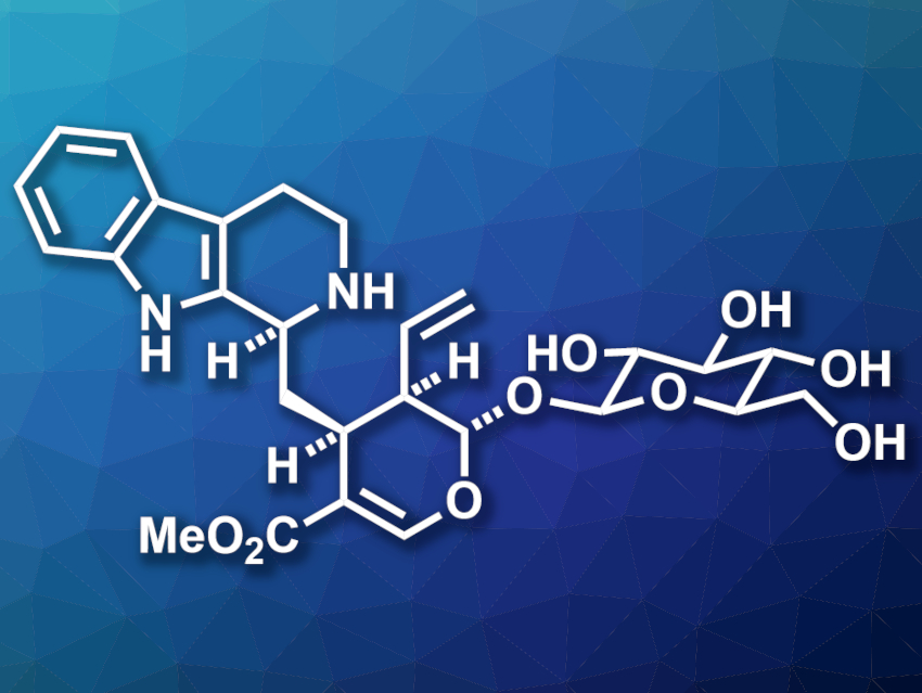 Total Synthesis of (−)-Strictosidine