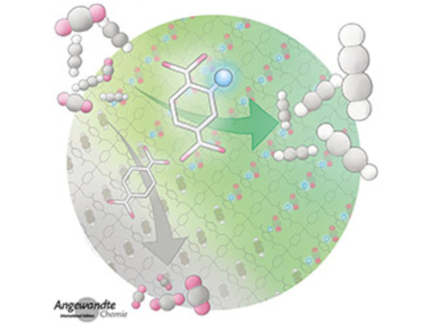 Angewandte Chemie 21/2021: Dynamic Reorganization