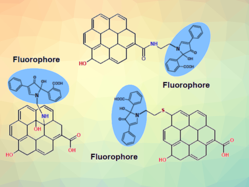 Composition of Graphene Oxide Studied with Fluorescent Labeling
