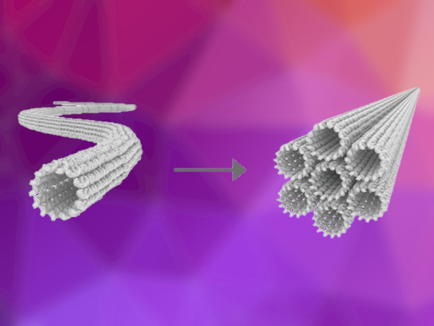 DNA Fibers with Customizable Properties