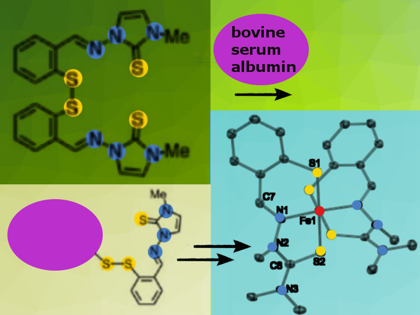 Iron Coordination and Antiproliferative Activity