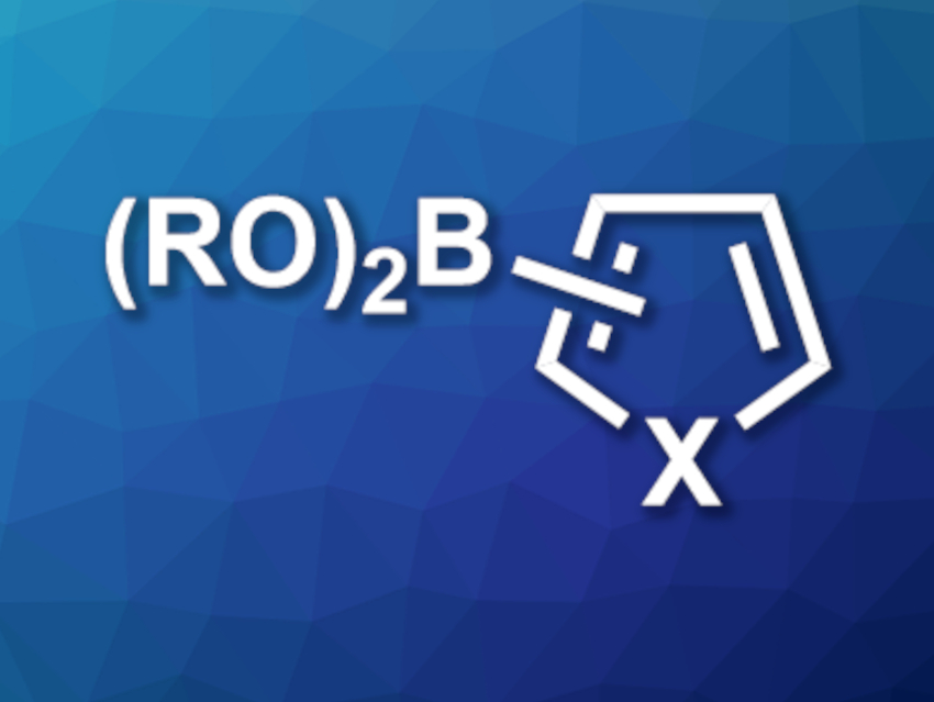 Zinc-Catalyzed Borylation of Heteroarenes