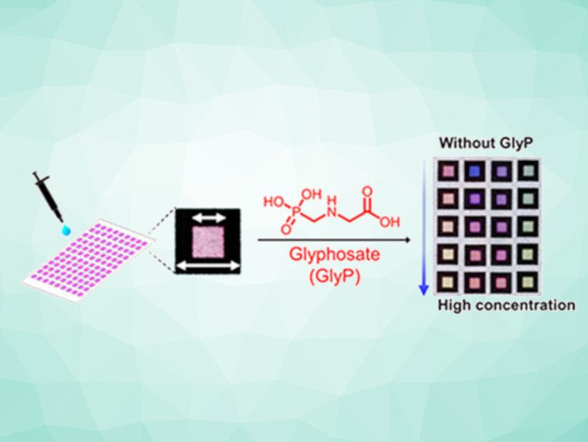 Paper-Based Anion Sensor