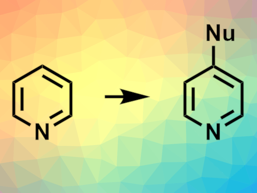 Functionalization of Azines Using Silylium Catalysis
