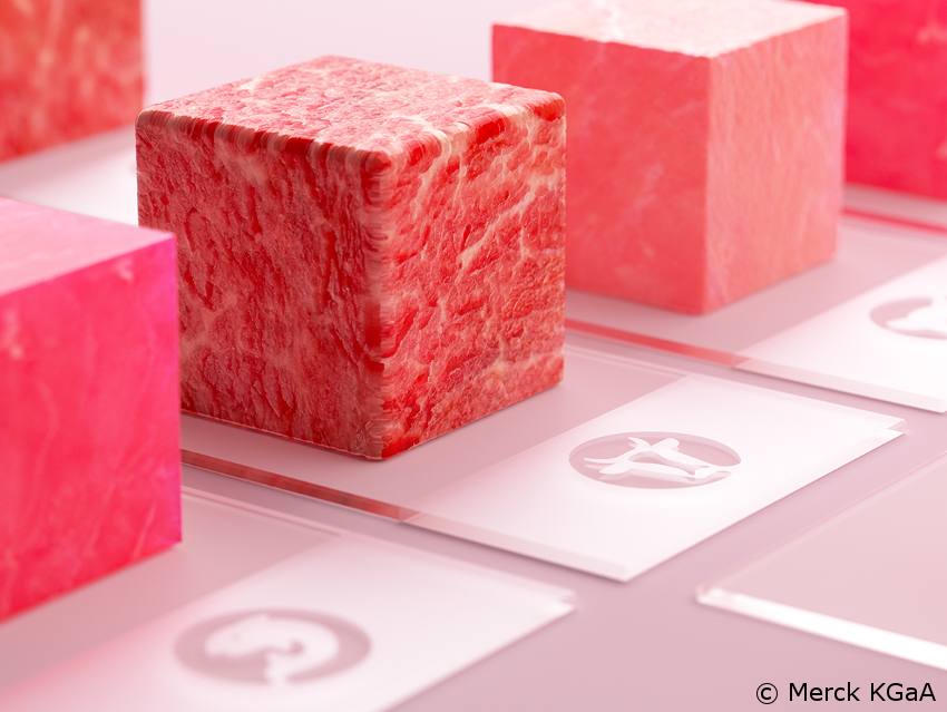 Interdisciplinary Cultured Meat Research