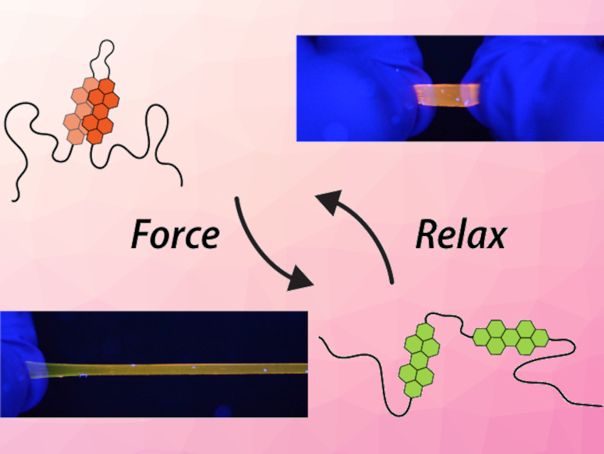 Mechanoresponsive Perylene Diimide Loops