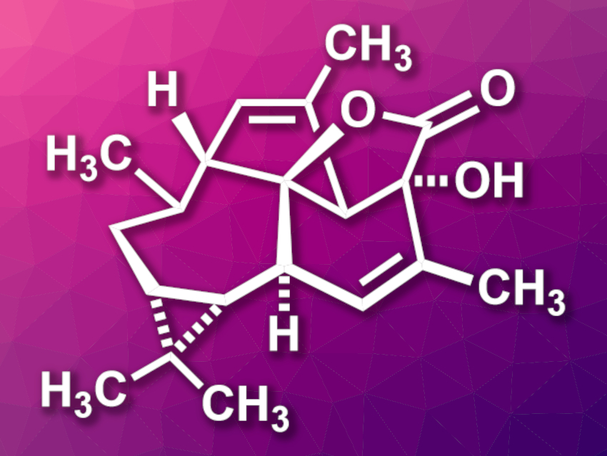 First Total Synthesis of (+)-Euphorikanin A