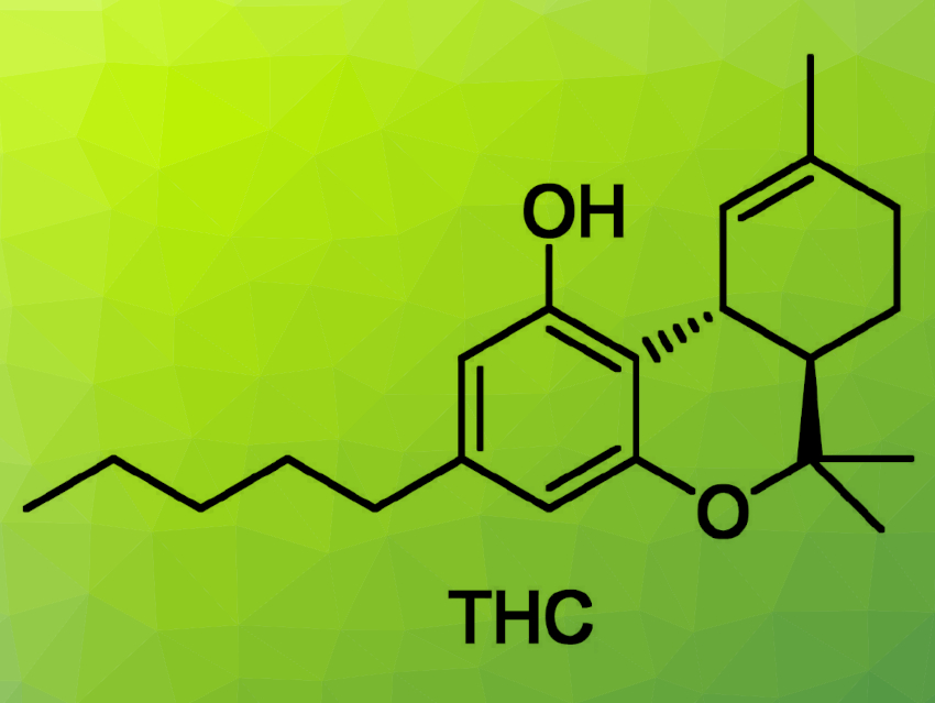 A Diels-Alder Approach to Cannabinoid Derivatives