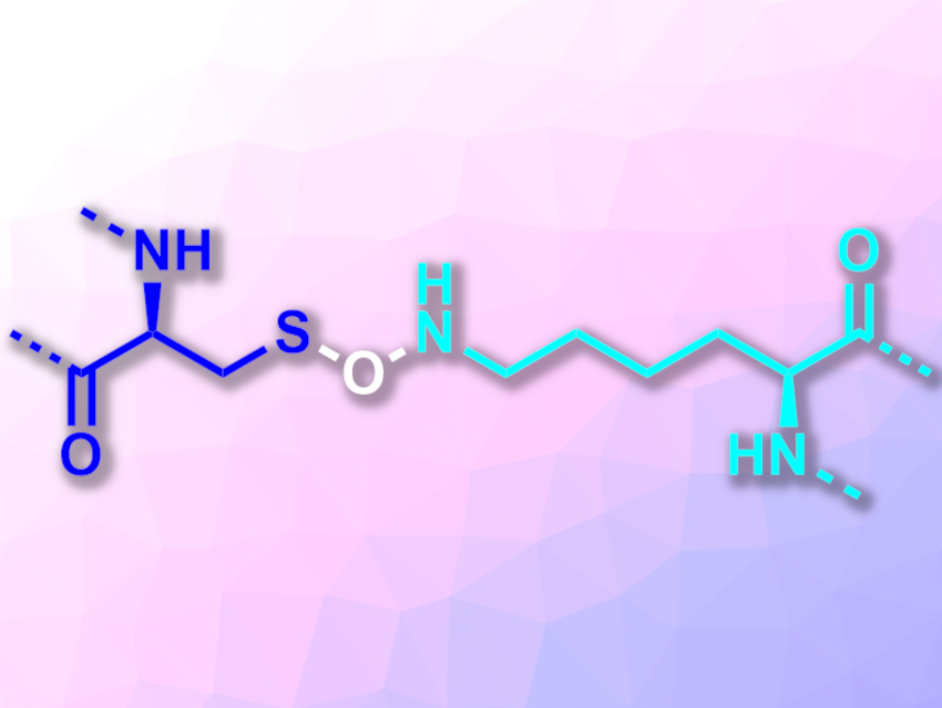 Cysteine–Lysine Crosslink Serves as Redox Switch in Enzyme