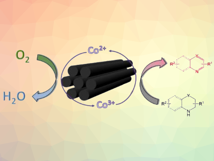 Mesoporous Cobalt Oxide Catalyst for Aerobic Oxidative Aromatizations