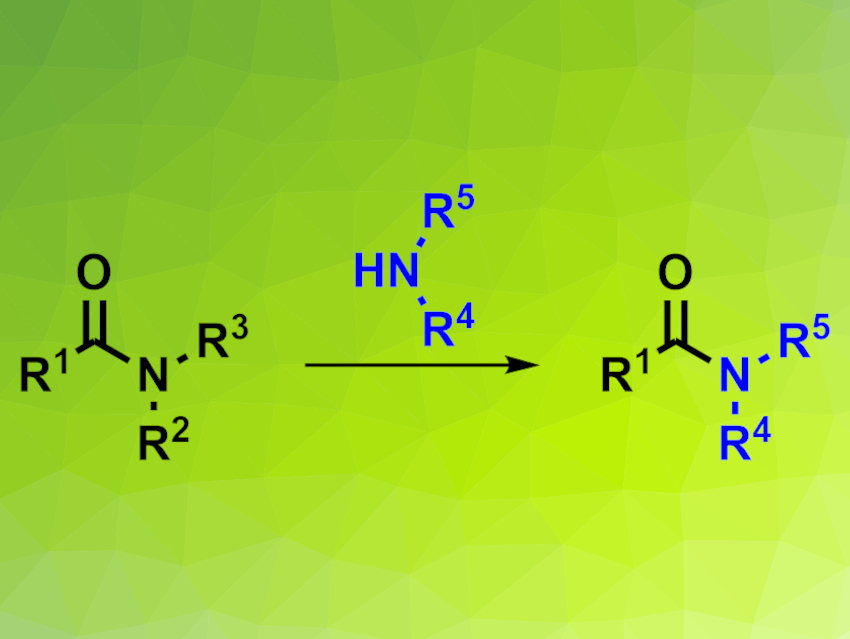 Efficient Transamidation of Tertiary Alkyl Amides